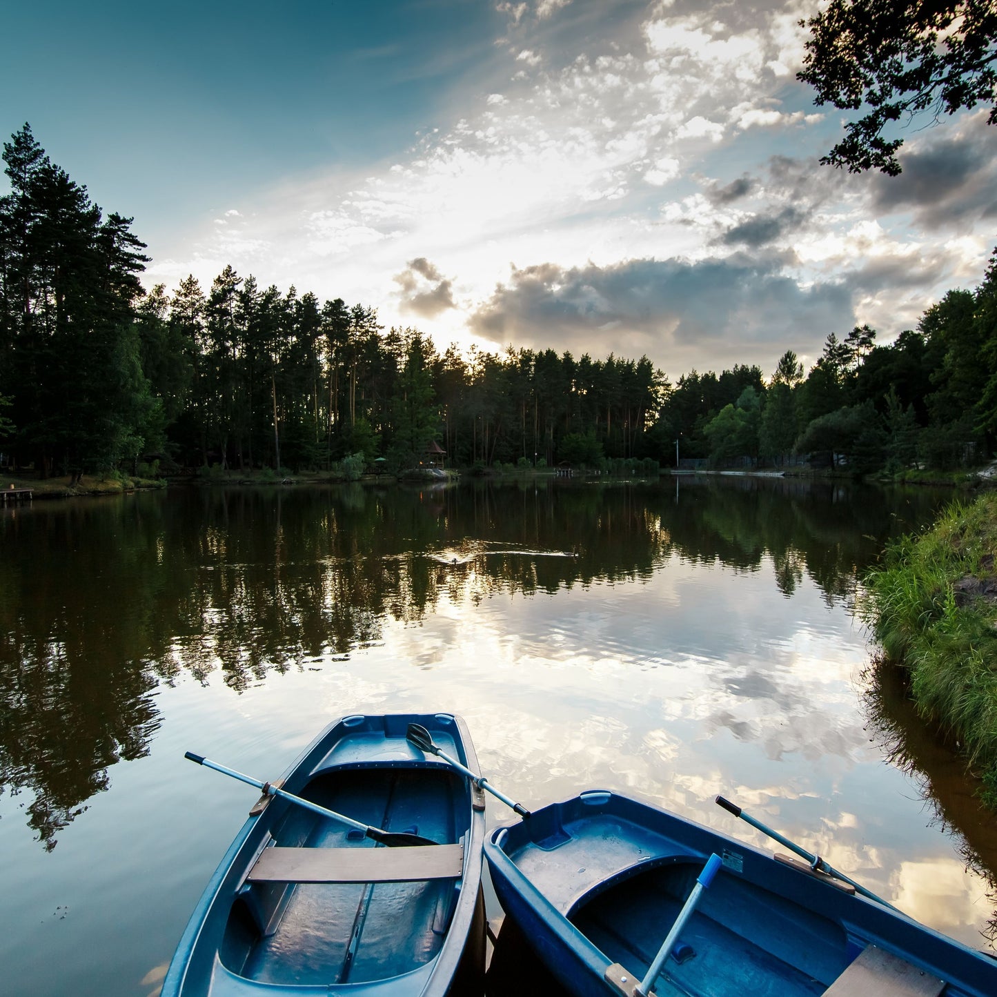 Bay Lake – Boating & Kayaking